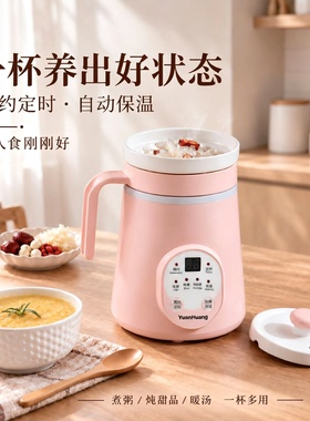 全陶瓷迷你电炖杯一人食养生