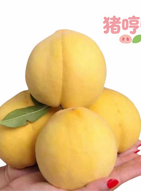 【猪哼哼】黄桃子好吃新鲜 一只不平凡的猪哼哼的淘宝店up