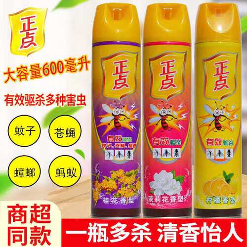 正点杀虫气雾剂强效蚊子蟑螂