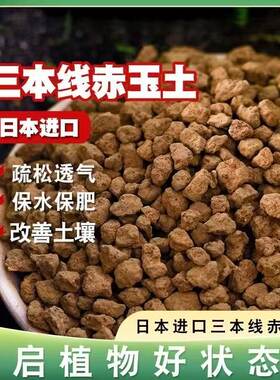 赤玉土种花多肉土专用进口二本线