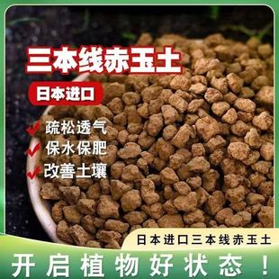赤玉土种花多肉土专用进口二本线铺面石兰花土颗粒批发盆栽营养土