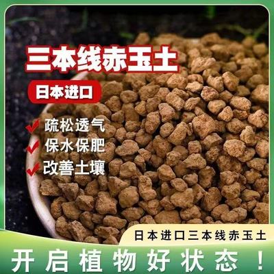 赤玉土种花多肉土专用进口二本线