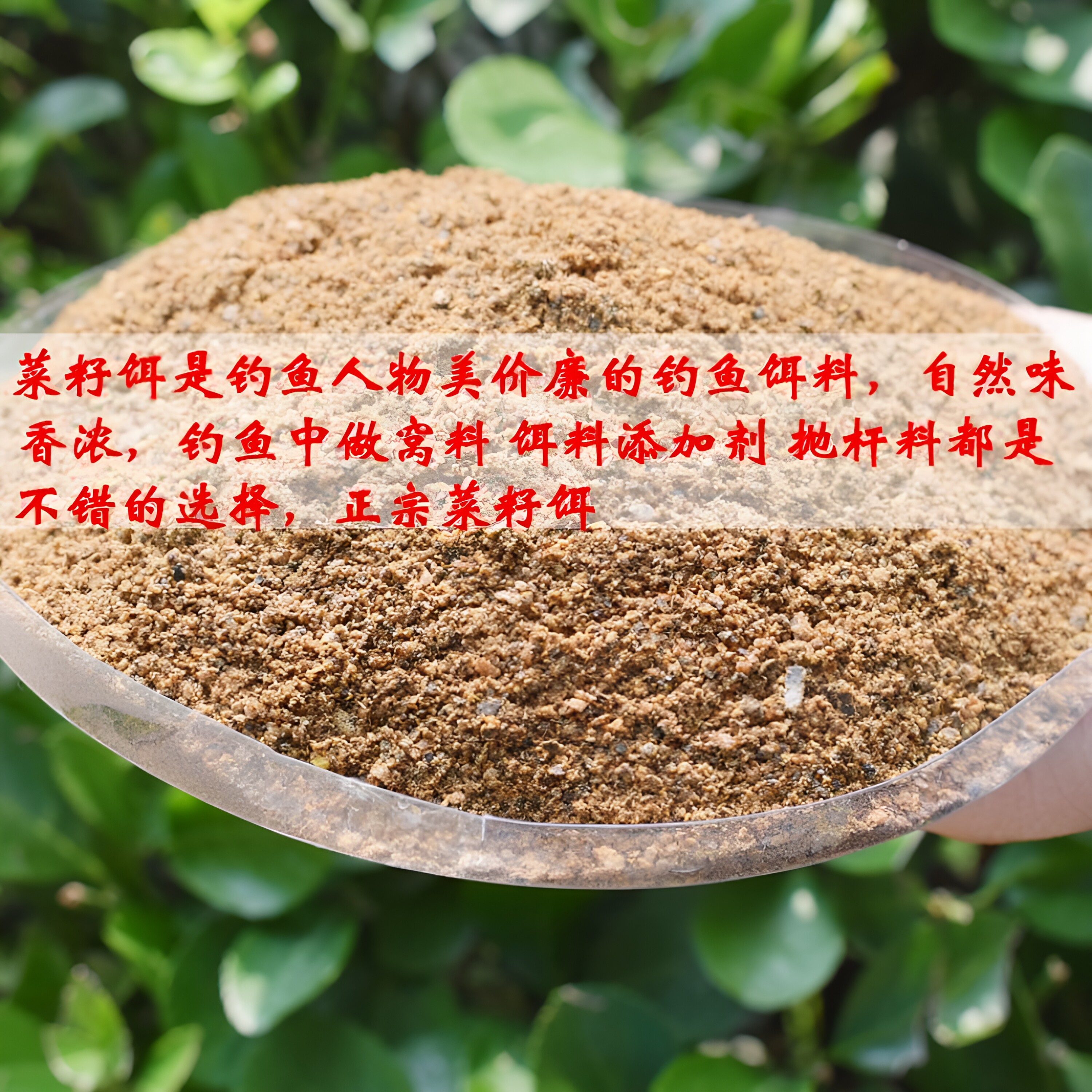 现磨菜籽饼钓鱼打窝料菜籽饼粉鱼饵料菜籽饼肥料炒野钓菜籽饼包纯