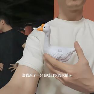 【玩个很新的东西】会转头吐口水的大鹅抽象搞怪水枪戏水整蛊玩具