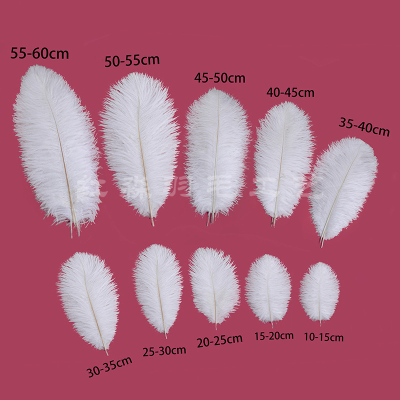 厂家直供白色鸵鸟毛细杆10-60cm羽毛灯秀场服装辅料出口品质原料