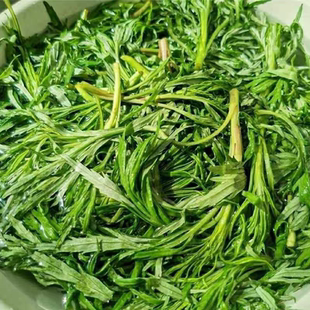 柳蒿芽东北黑龙江野生柳蒿芽菜真空塑封嫩菜