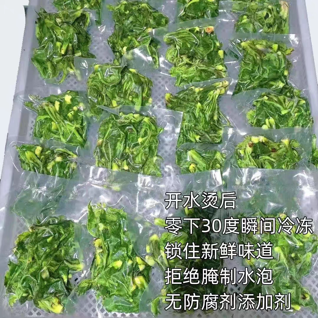 东北特产刺嫩芽袋装新鲜野菜山菜野生刺老芽刺龙芽