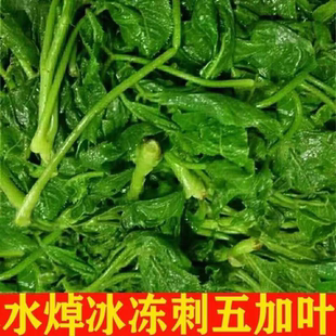 新鲜刺五加山野菜叶东北特产塑封真空刺五加叶