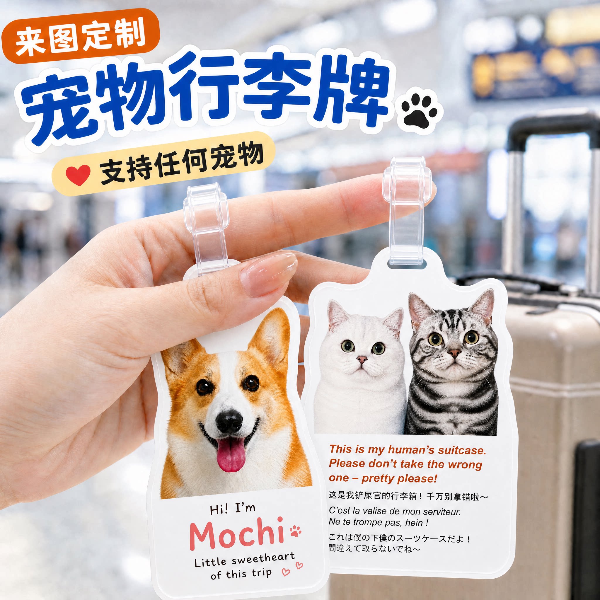 宠物照片DIY来图定制防丢行李牌