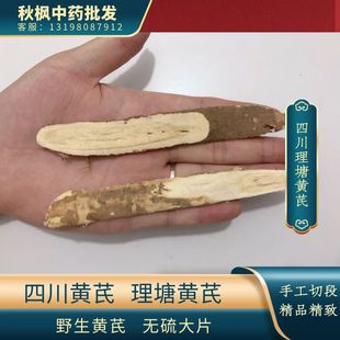 四川理塘黄芪 黄芪选装黄芪大片阿坝高海拔黄芪包邮