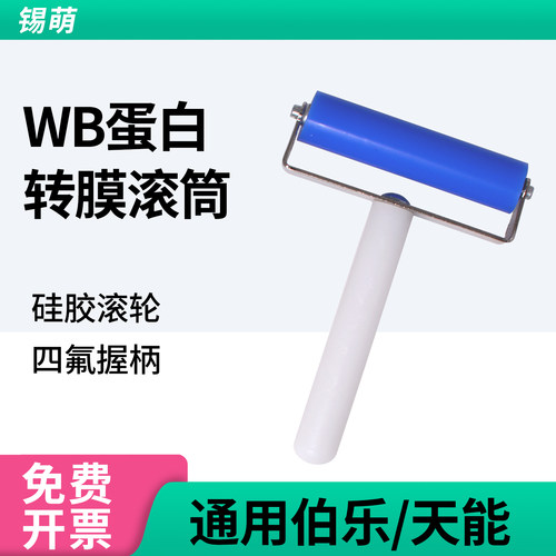 wb电泳蛋白转膜滚轮滚筒