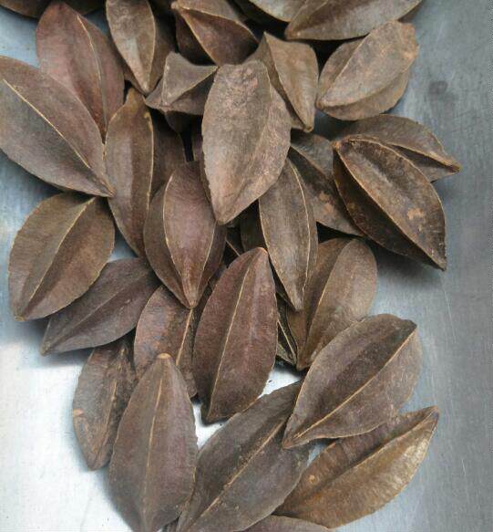 中草药使君子500g四君子 吏君子 留球子  五棱子 索子果