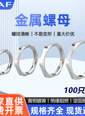 金属六角螺母黄铜镀镍锁母夹紧螺纹螺母 M8M10M12M16M18M20M32M40