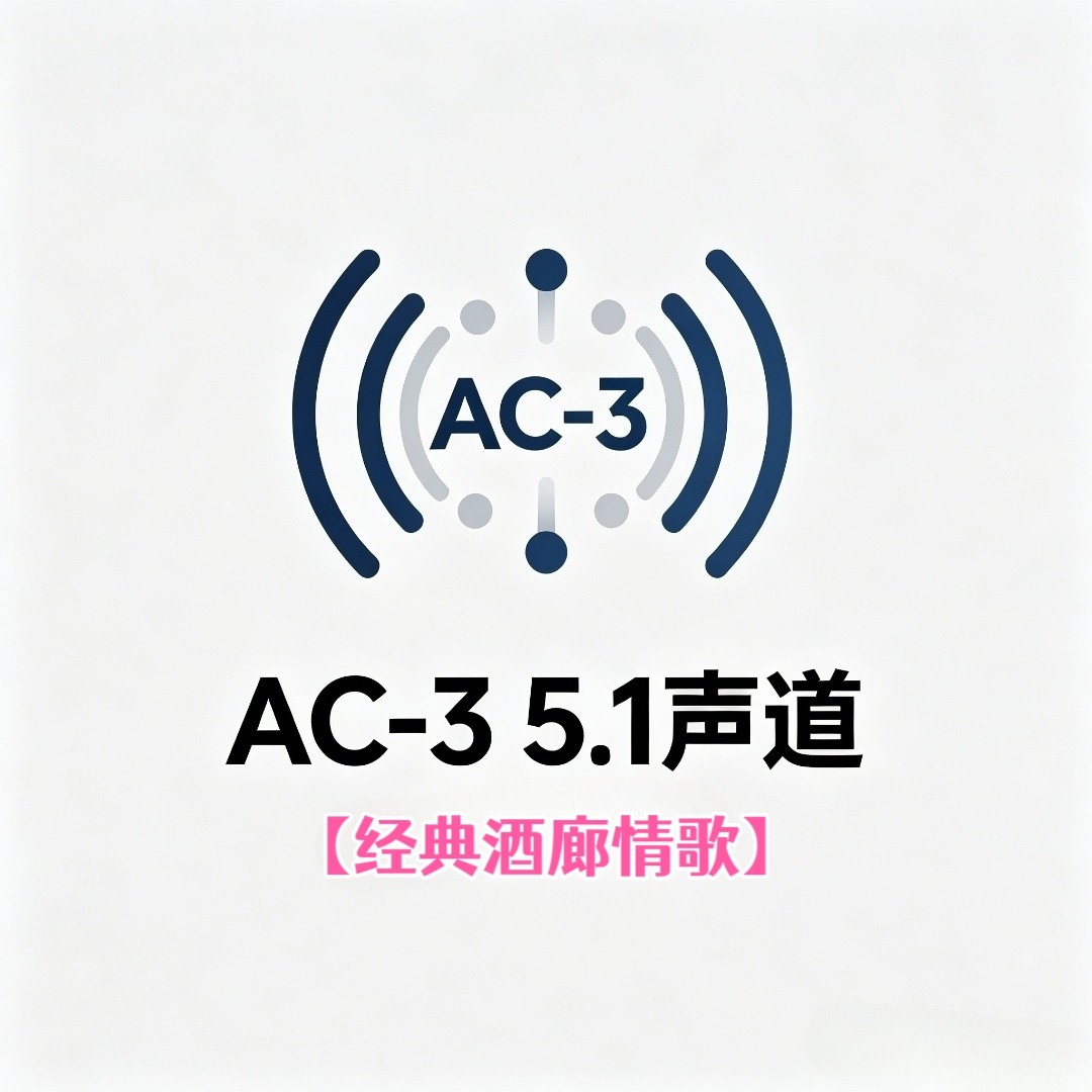 AC-3 5.1声道金典怀旧酒廊情歌视频u盘优盘家用车用车载解读解码
