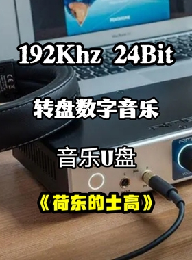192khz24bit转盘数字音乐u盘荷东的士高无损wav立体分轨家用解码