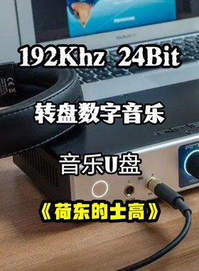 192khz24bit转盘数字音乐u盘荷东的士高无损wav立体分轨家用解码