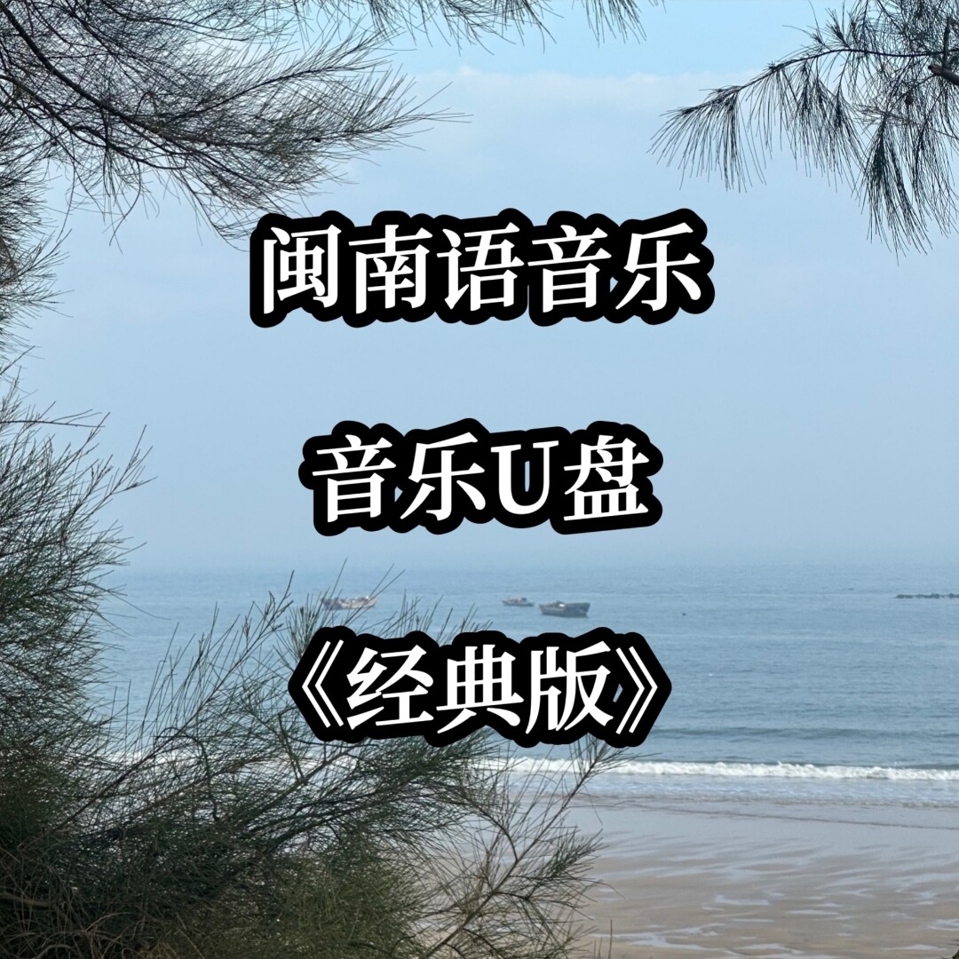 金典经典闽南语音频音乐U盘歌曲情调甜歌高品质mp3立体环绕优盘