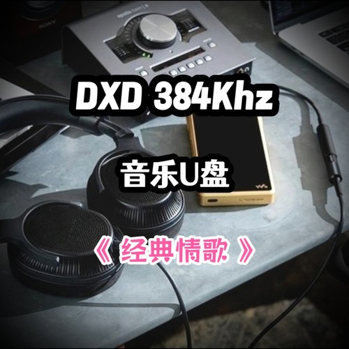 DXD384Khz数字音乐u盘经典情歌立体分轨环绕家用车用车载解码