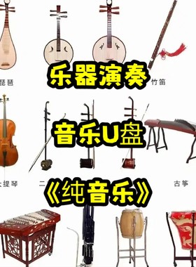经典乐器演奏纯音乐U盘立体环绕高品质家用车用车载usb优盘