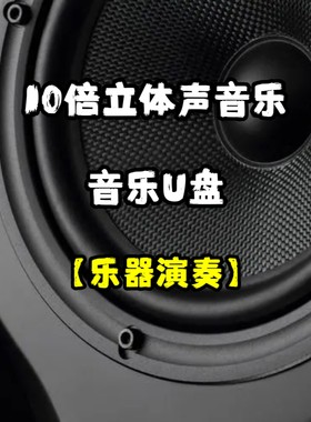 十倍立体声音乐u盘乐器演奏纯音乐家用车用车载无损分轨分离环绕