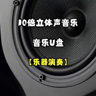 十倍立体声音乐u盘乐器演奏纯音乐家用车用车载无损分轨分离环绕