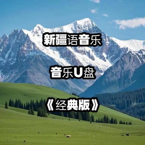 新疆语音频音乐U盘本土情歌民歌流行舞蹈高品质mp3立体环绕优盘