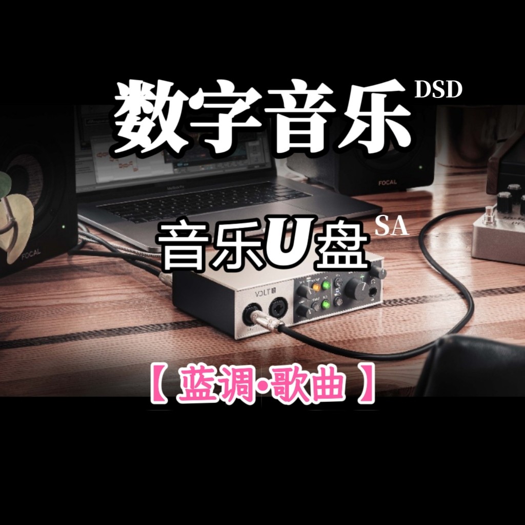 DSD数字音乐u盘蓝调歌曲立体分轨环绕重低音家用车载解读解码