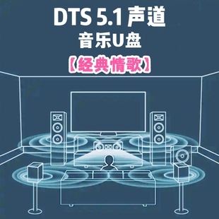 dts5.1wav格式音乐u盘经典情歌独立分离分轨环绕家用车用车载解码