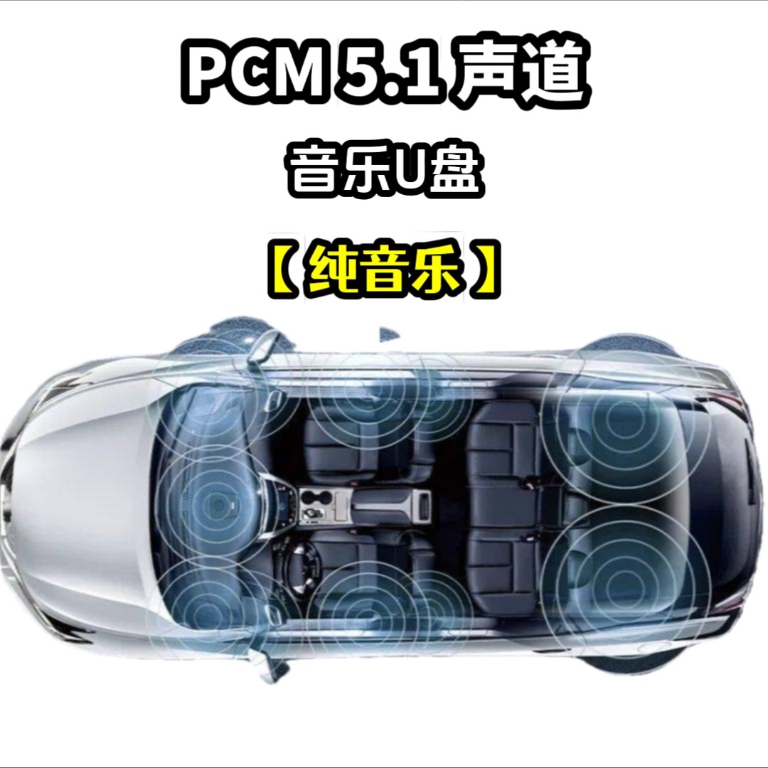 pcm5.1wav格式音乐u盘纯音乐dts音效独立分轨环绕车用车载解码