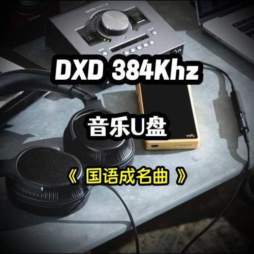 DXD384Khz数字音乐u盘经典国语成名曲立体分轨环绕家用车载解码