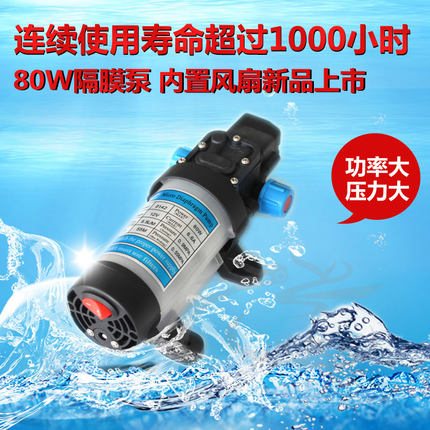 带风扇高压洗车水泵过滤电动隔膜水泵农用打药自吸直流12V24V80W