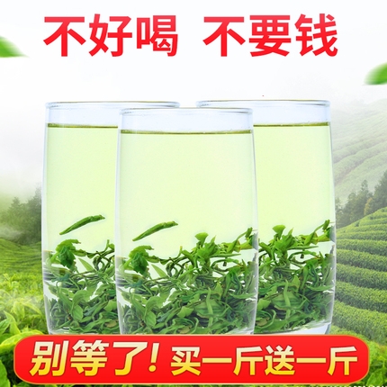 绿茶新茶炒青散装浓香型