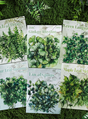 森林叶影复古植物绿色叶子高级感贴画pet手账水杯造景装饰贴纸diy