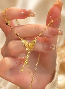 轻奢精致小众立体蝴蝶吊坠流苏项链女款锁骨链设计感