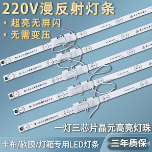 220V漫反射灯条卡布灯箱led灯条/卷帘灯广告软膜天花吊顶专用光源