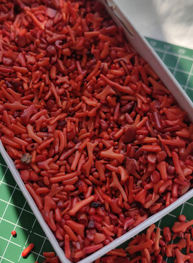 染色海竹细枝苗红色无孔碎料饰品