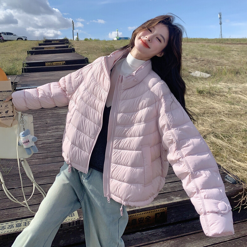 女装/女士精品羽绒服其他/other其他白鸭绒2025年冬季常规常规款