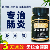肠炎灵鱼药金鱼锦鲤孔雀斗鱼厌食治疗内寄炸鳞腹水治疗鱼用不吃食