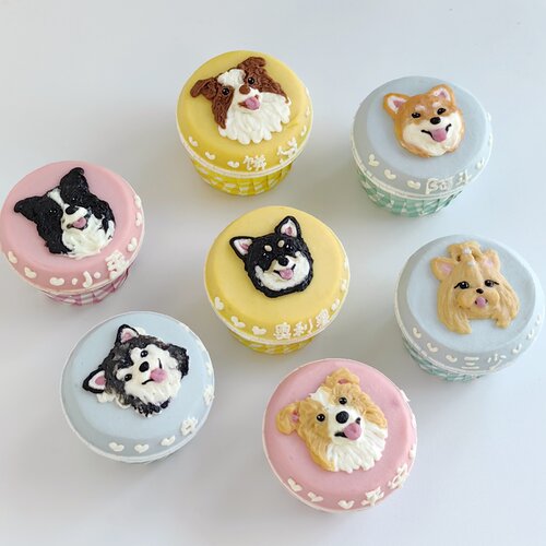 可爱卡通头像定制宠物纸杯蛋糕 韩国奶油含肉胚 猫咪狗狗生日蛋糕
