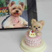 头像定制约克夏 2寸宠物尝鲜小蛋糕 猫咪狗狗生日蛋糕 全国可发