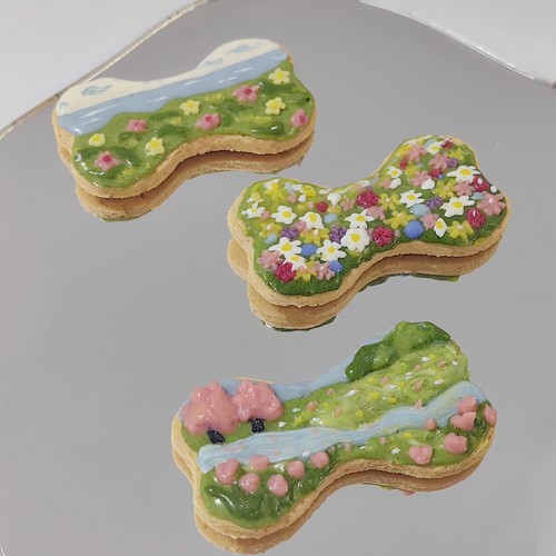 自制手绘春日主题 小狗花生酱饼干 宠物配餐零食装饰可定制图案