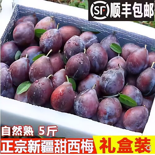 【顺丰包邮】正宗新疆西梅鲜果