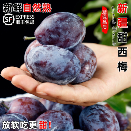 顺丰新疆甜西梅饱满多汁法兰西西梅甜李子应季现摘时令鲜水果整箱