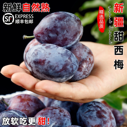 【顺丰速发】新鲜新疆甜西梅