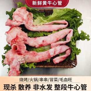 新鲜牛心管 小黄牛黄喉脆爽精修 4斤 8斤 国产 牛杂火锅烧烤食材