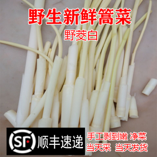6月净高笋鲜嫩野菜茭白淮安产新鲜蔬菜水笋儿菜食用农产品酒店
