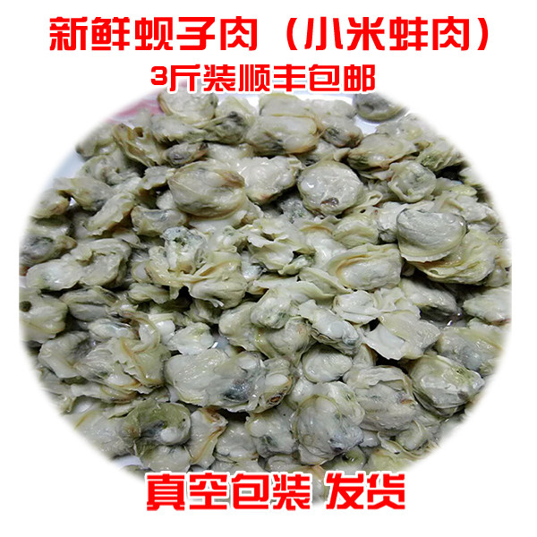 顺丰包邮3斤装淡水苏北特产生新鲜河蚌肉蚬子肉去壳纯蚌肉鲜活