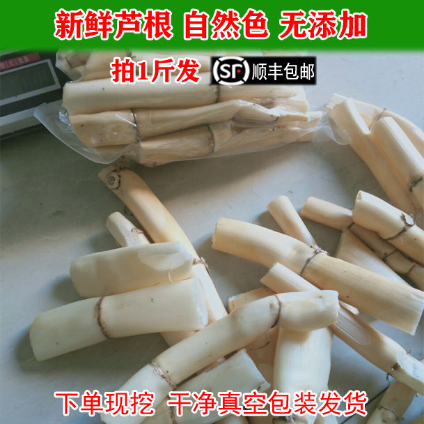 500克顺丰农村土特产野生芦苇根有须芦根粉新鲜现挖现发白茅根条,传统滋补营养品,其他药食同源食品,淘宝优惠券,粉丝福利购,淘宝优惠卷