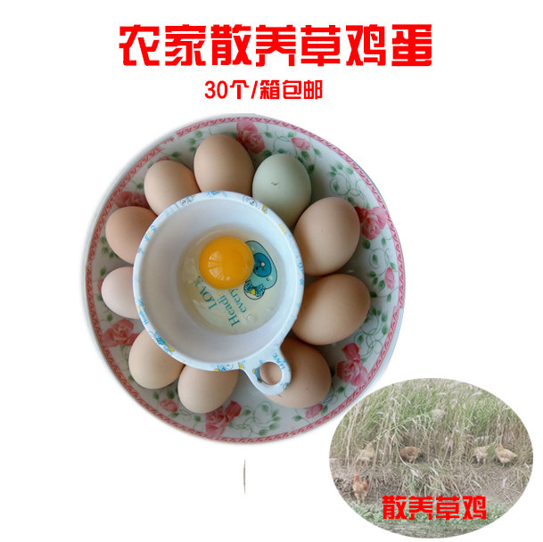 30枚农家散养草鸡蛋土鸡蛋食用农产品农村土特产儿童孕妇补品放养