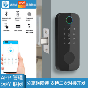 通用型门锁木门指纹锁跨境呆锁指纹刷卡电子密码家用锁涂鸦通通锁